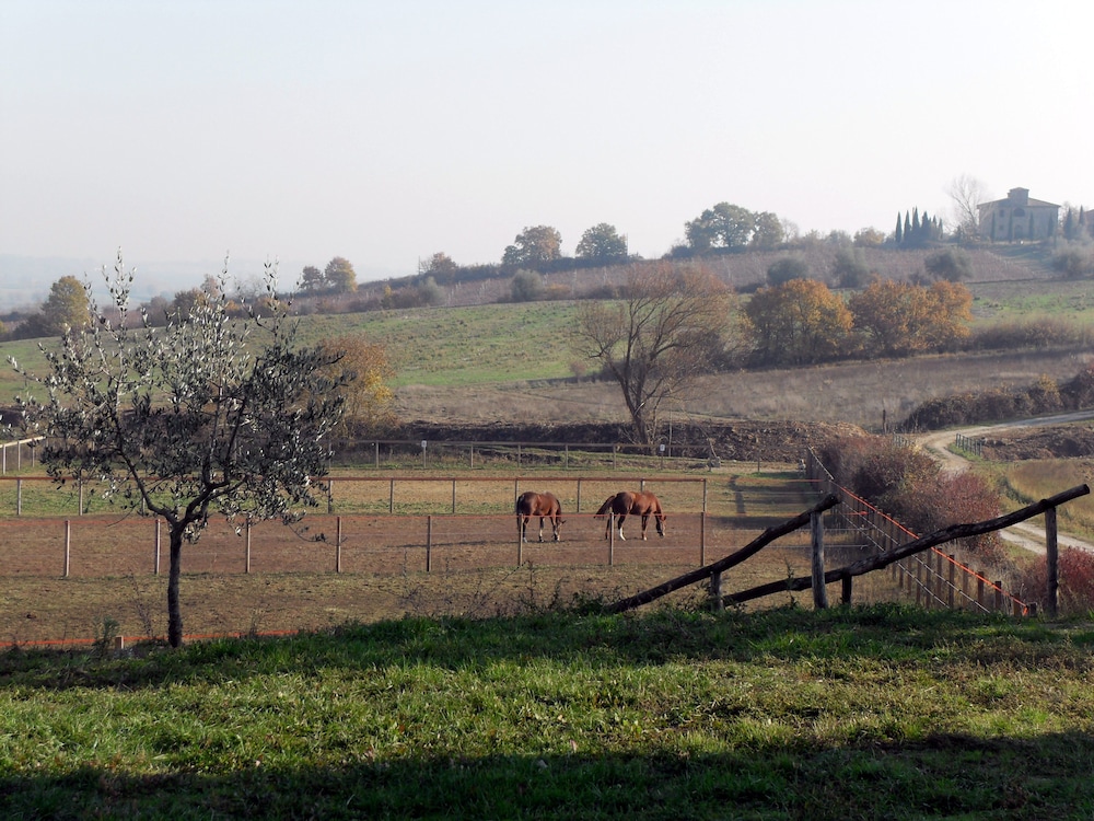 Podere Pievina 90/100
