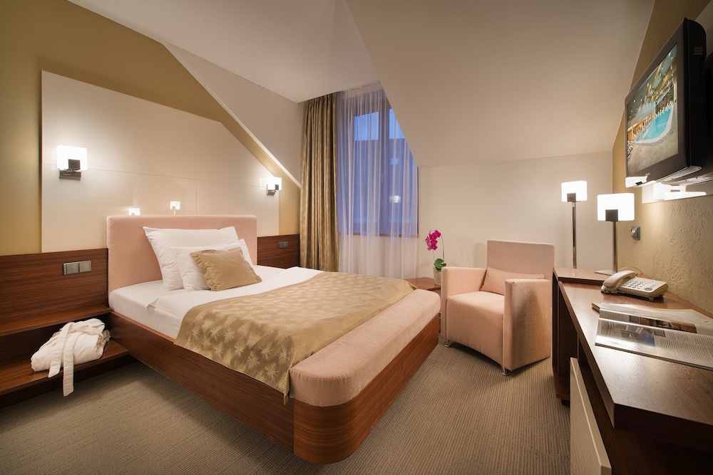 Wellness Hotel Diamant (ex Relaxacni A Regeneracni Centrum) 15/50