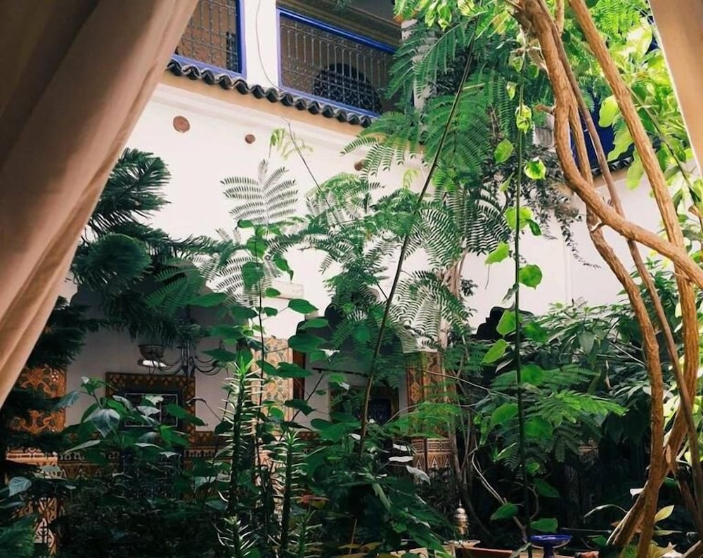 Riad Maryam 45/50