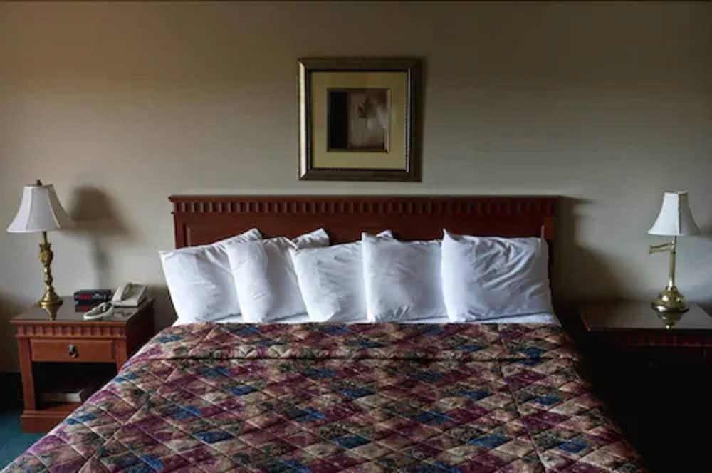 Hotel L'Express 19/65