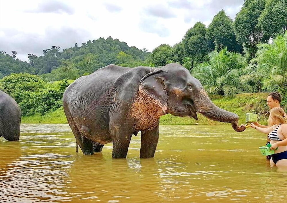 Khao Sok River Lodge 32/50