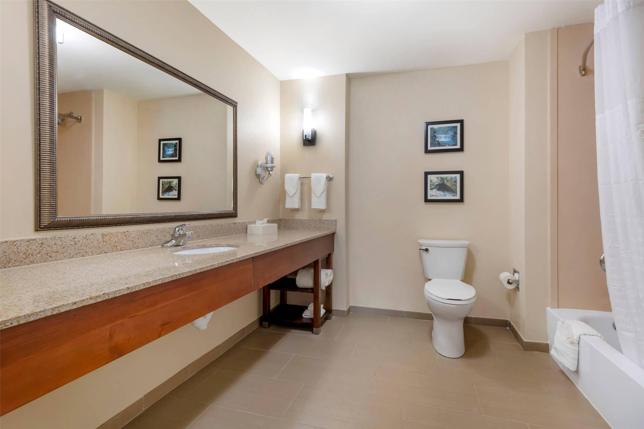 جناح بسرير كينج، Comfort Suites Elizabethtown 4/4