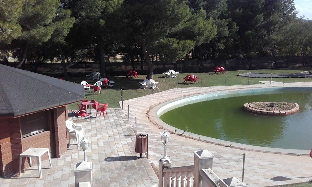 El Cisne酒店(Hotel El Cisne) 图片5