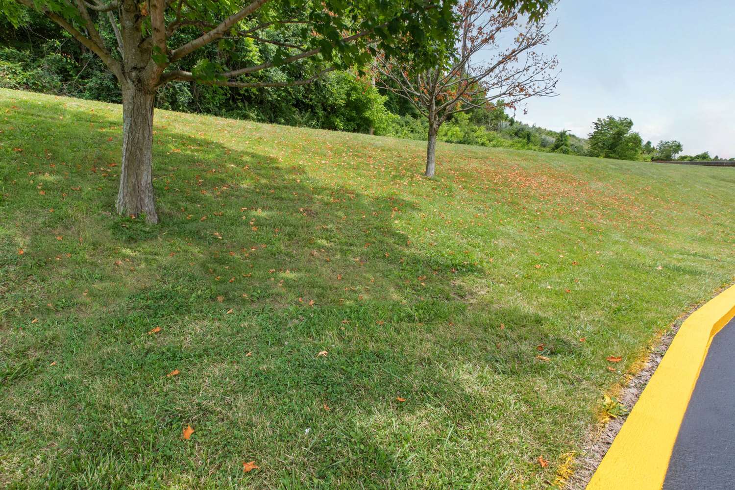 Super 8 by Wyndham Bridgeport-Clarksburg 23/28