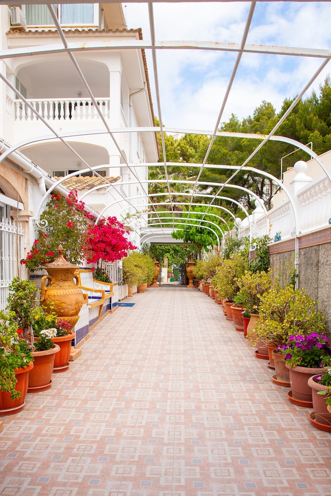 Atalaya Bosque Apartamentos 34/50