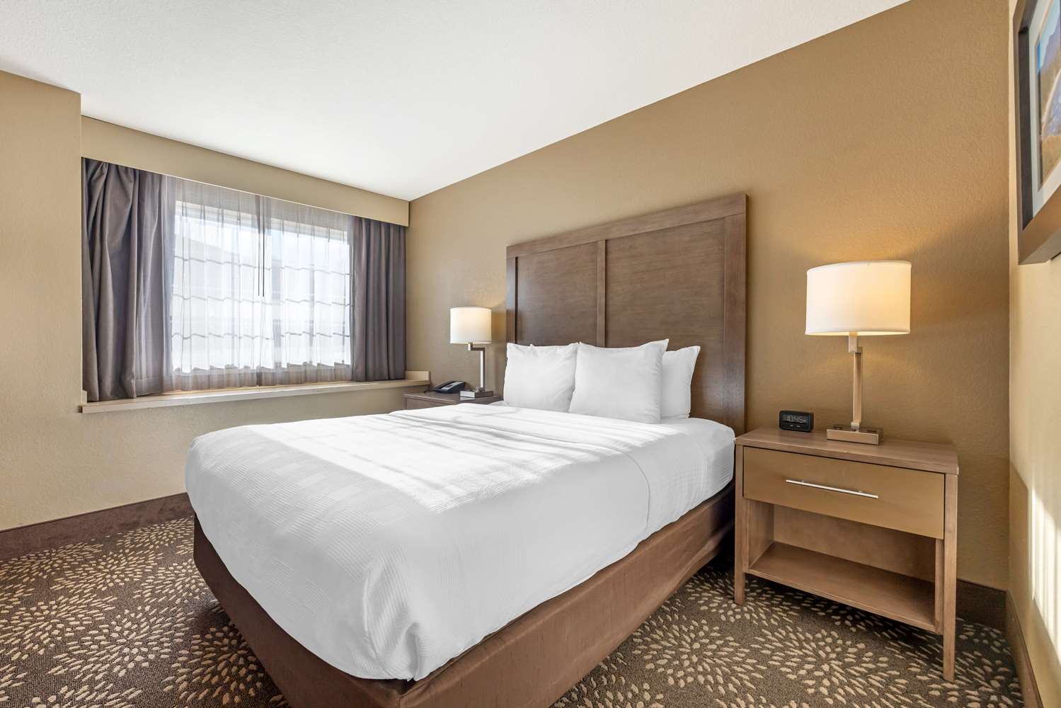 Room, Queen Bed