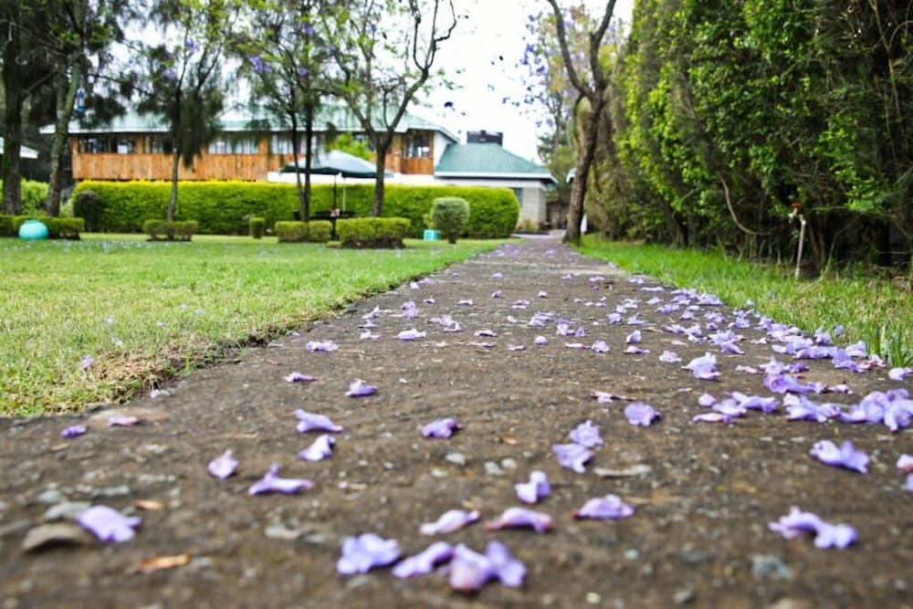 Fina Gardens Resort 28/31