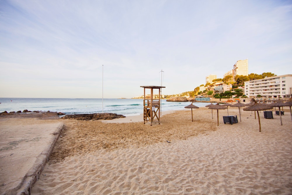 Be Live Experience Costa Palma 64/71