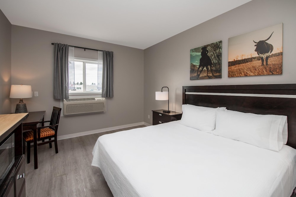 Room, King Bed