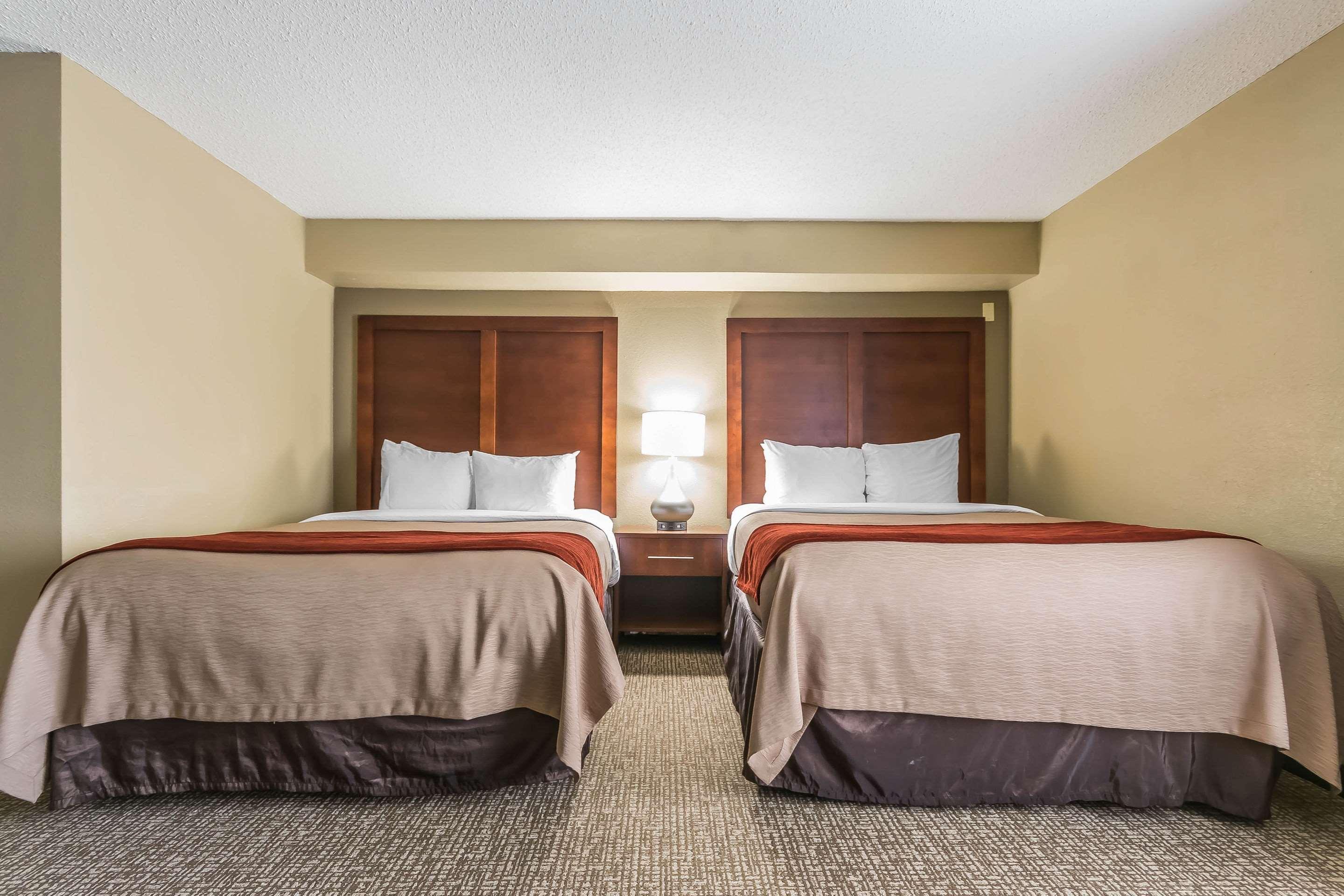 EFFICIENCY, SUITE, 1 KING AND 2 QUEEN BEDS