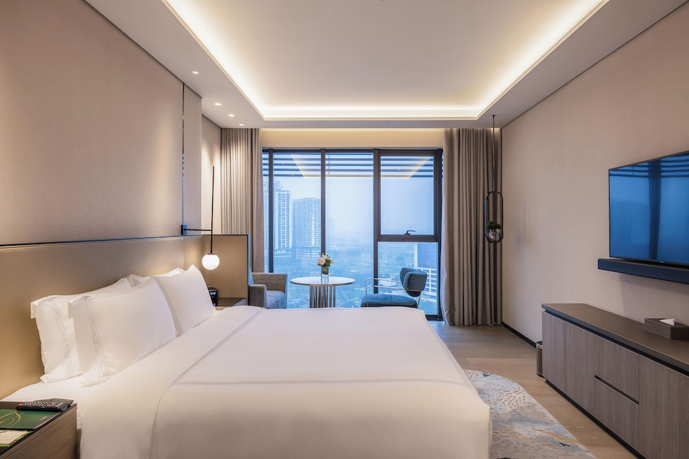 Executive, Studio, Single Bed