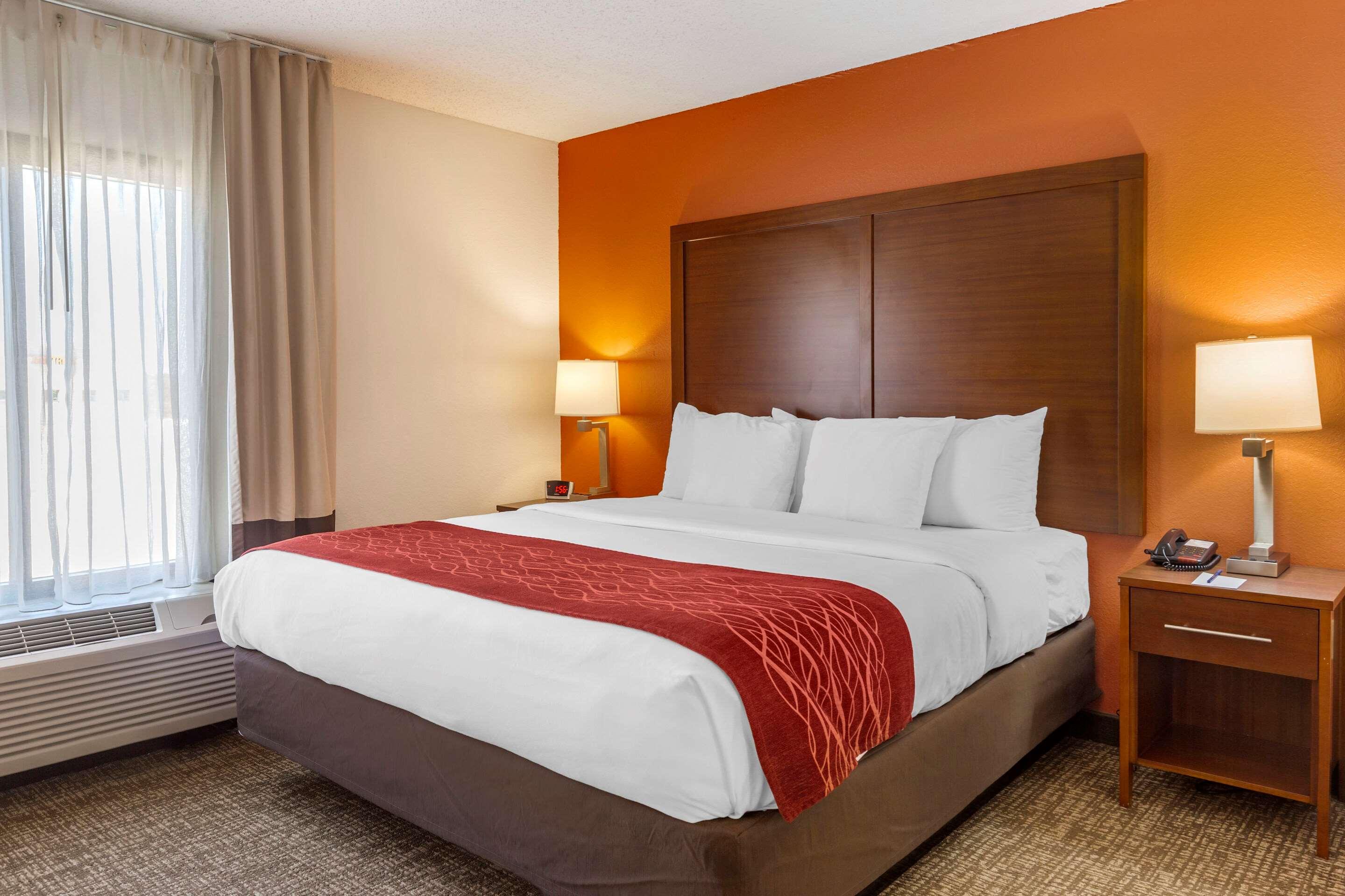 SUITE, KING BED