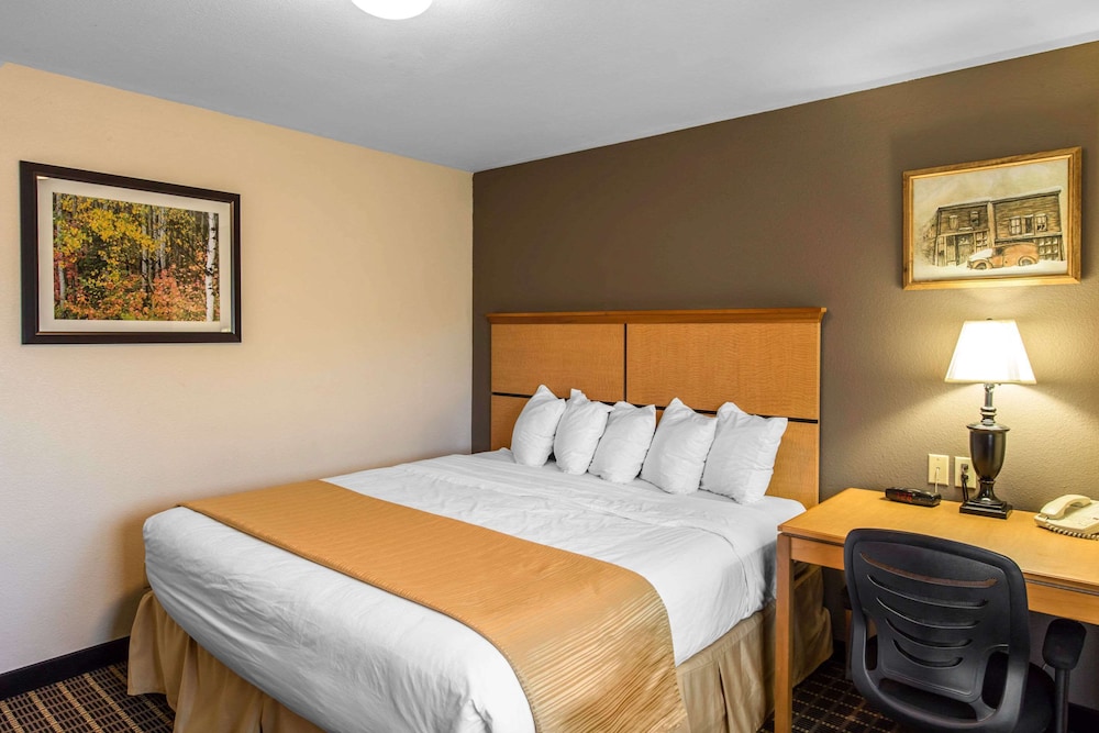 Efficiency, Suite, King Bed, Sofa