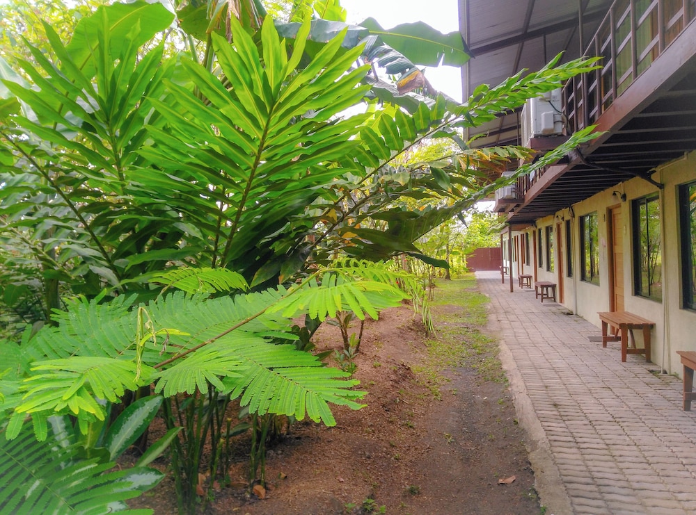 Arenal Xilopalo 46/50