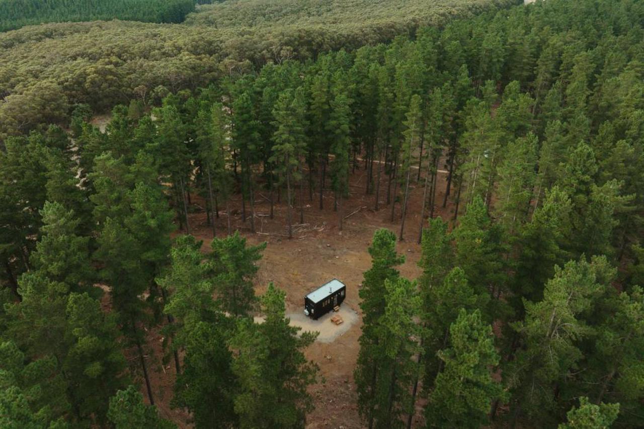 CABN Kuitpo Forest 6/10
