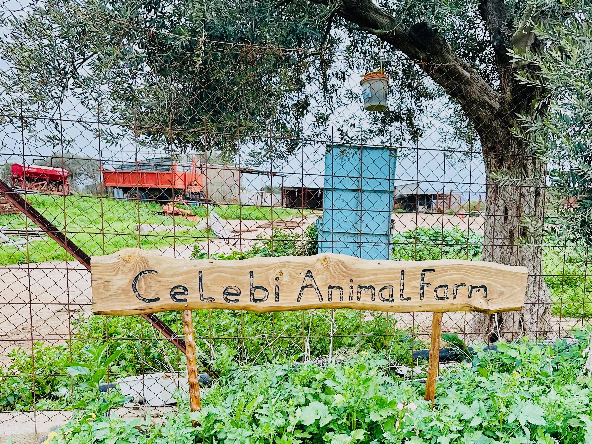 Celebi Garden Hotel 37/50