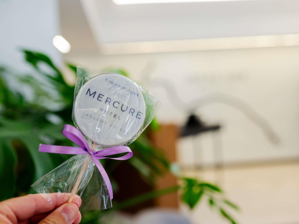Mercure Jaragua do Sul Hotel 22/50