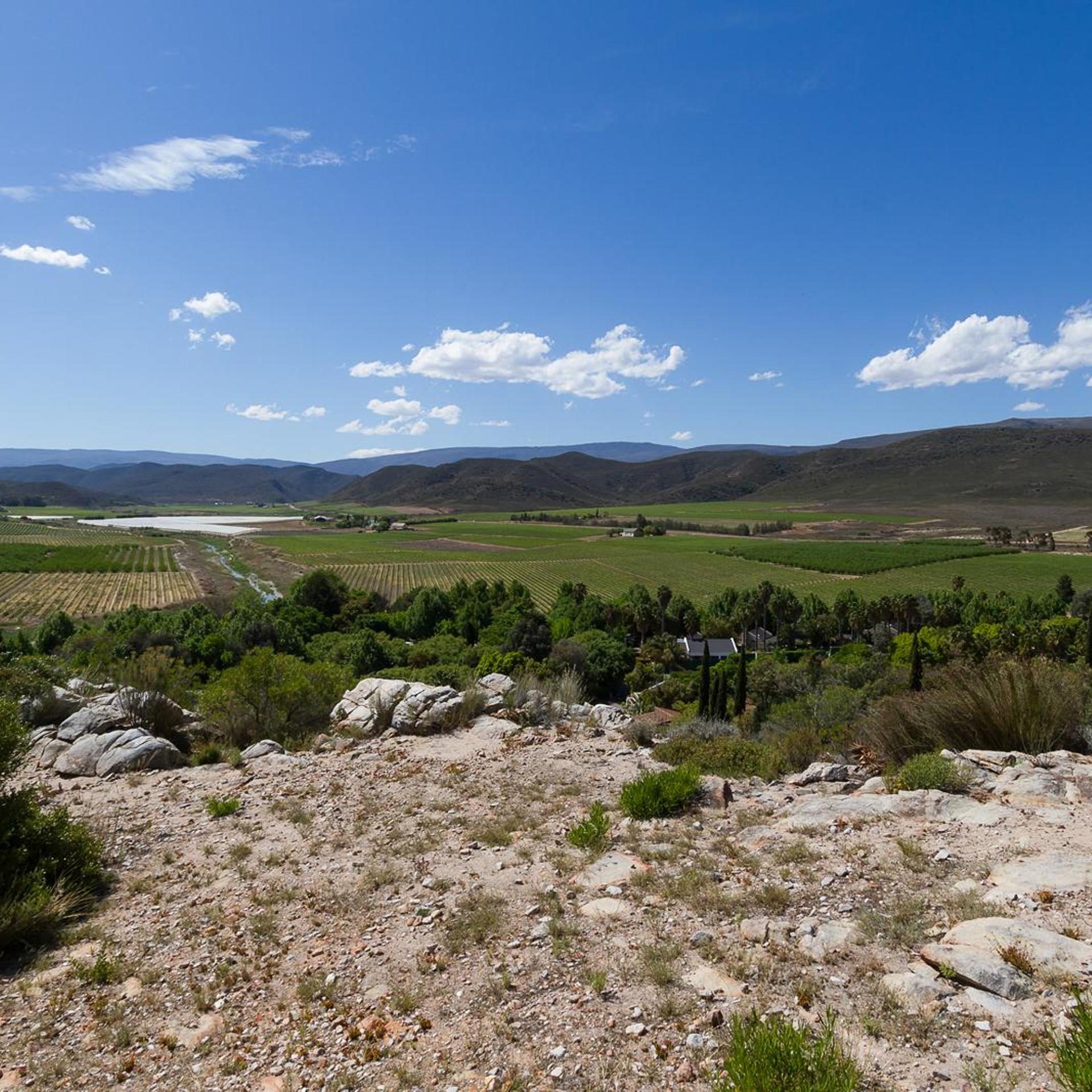 Avalon Springs 32/50