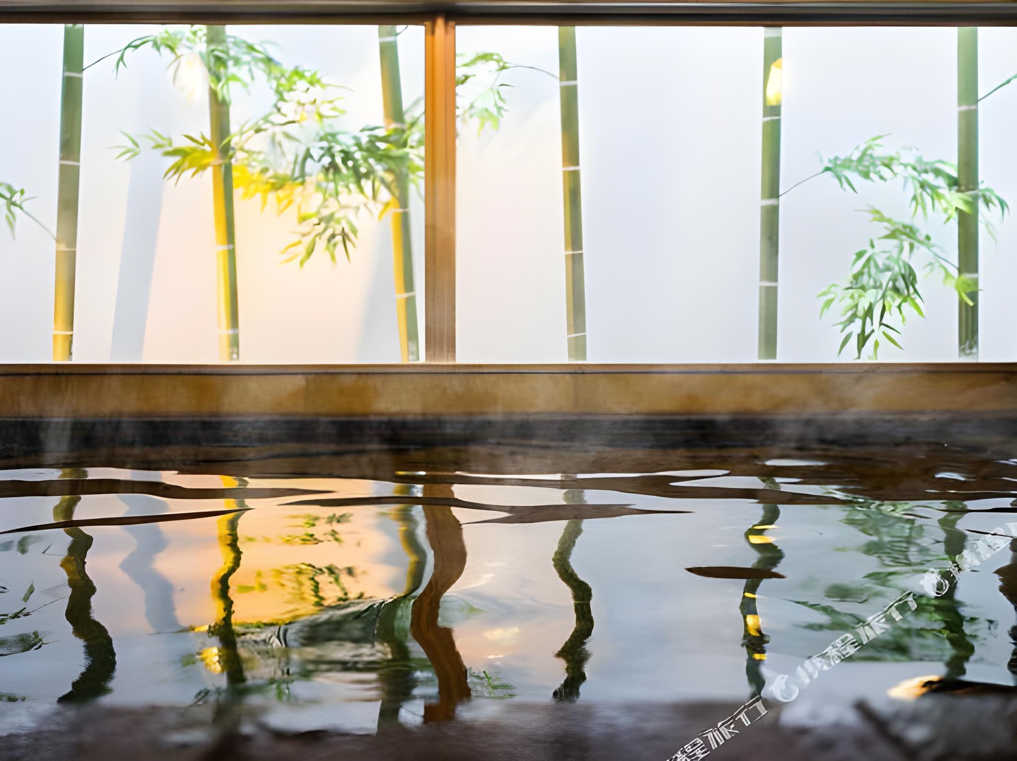 Super Hotel Gotsu Ekimae 19/25