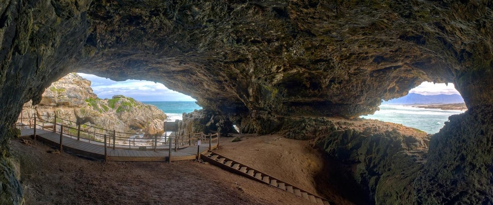 Sea Star Cliff 67/76