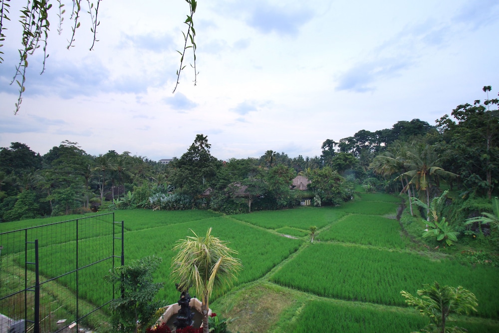 Byasa Ubud 45/71