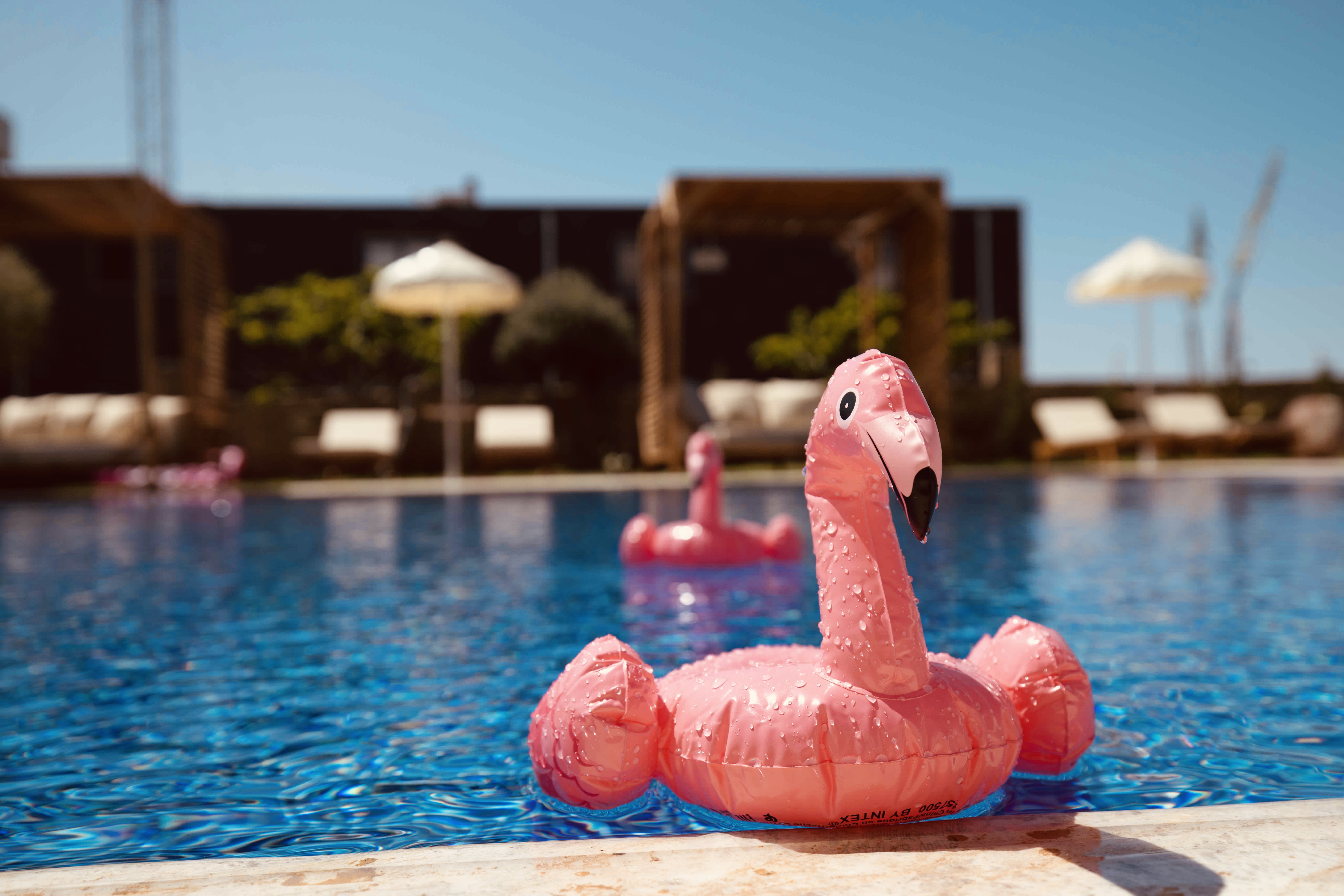 Palmonte Suites 46/50