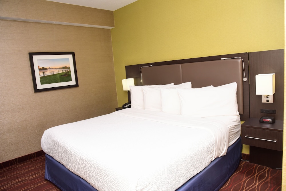 DELUXE, SUITE, KING BED