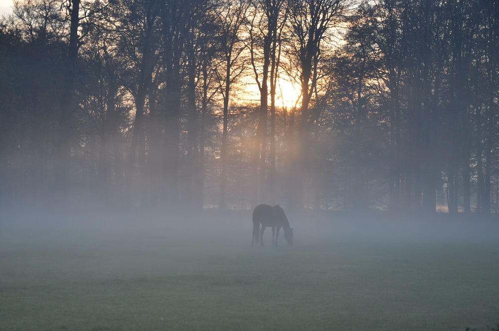 Parc Broekhuizen 44/50