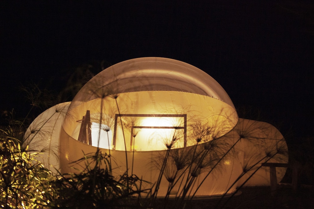 Green Land Bubble Glamping 40/60