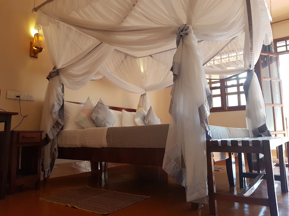 African Roots Guesthouse 11/47