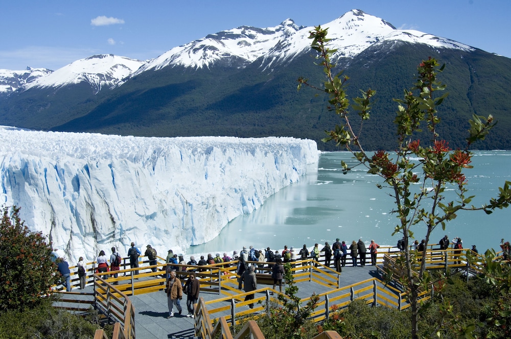 Sent Calafate 32/40