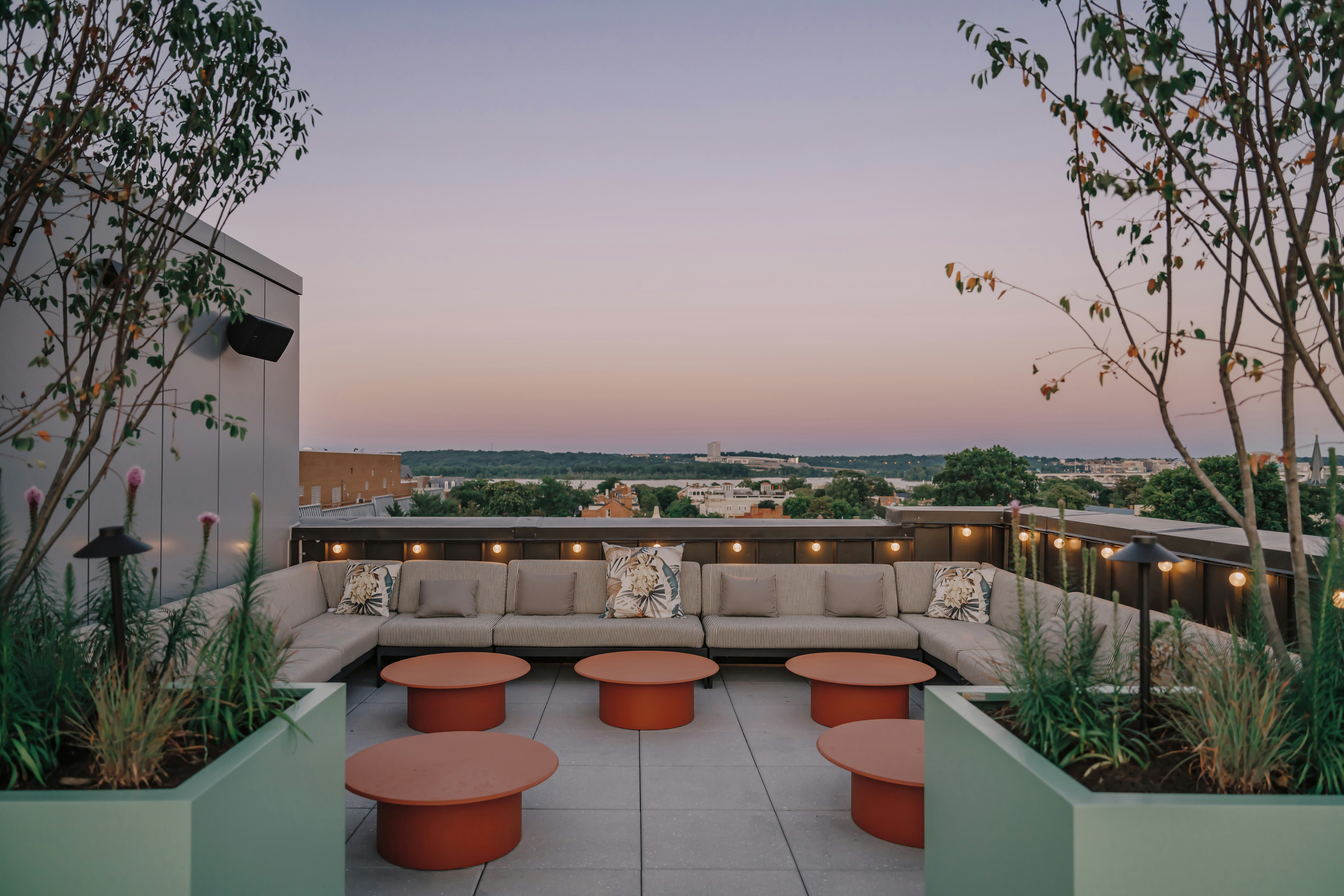 Hotel Heron Alexandria Old Town, Curio Collection by Hilton 7/50