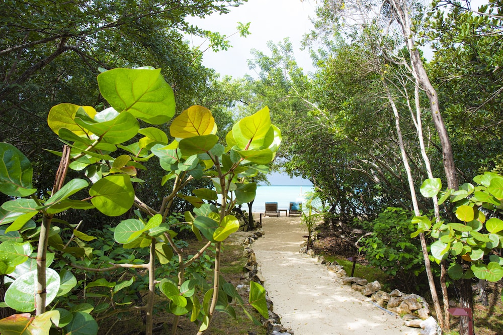 Tiamo Resort 40/49