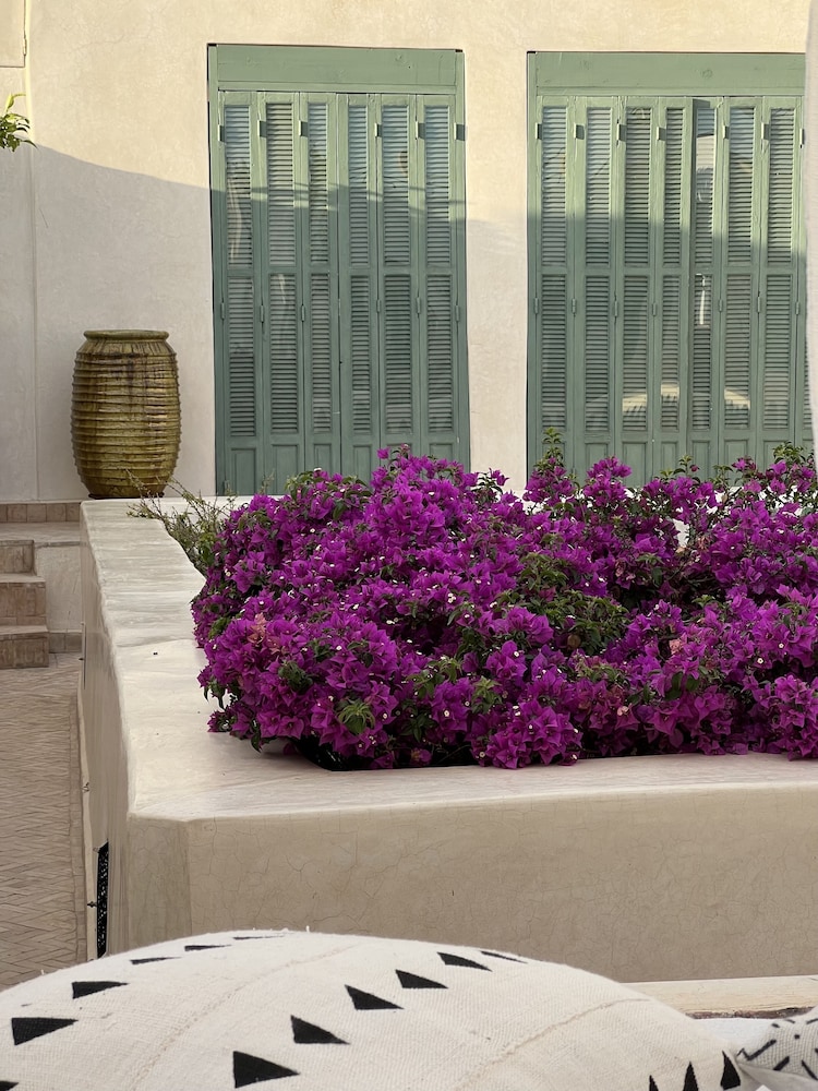 Riad Safar 49/50