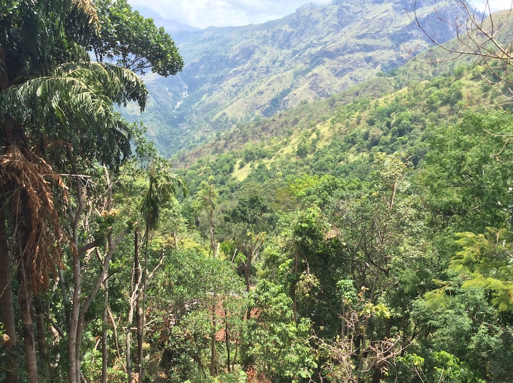 Ella Camping Resort 45/54