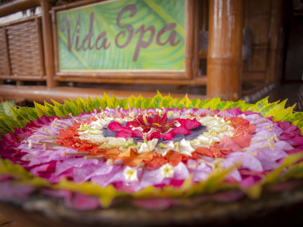 Pura Vida Beach And Dive Resort 28/61