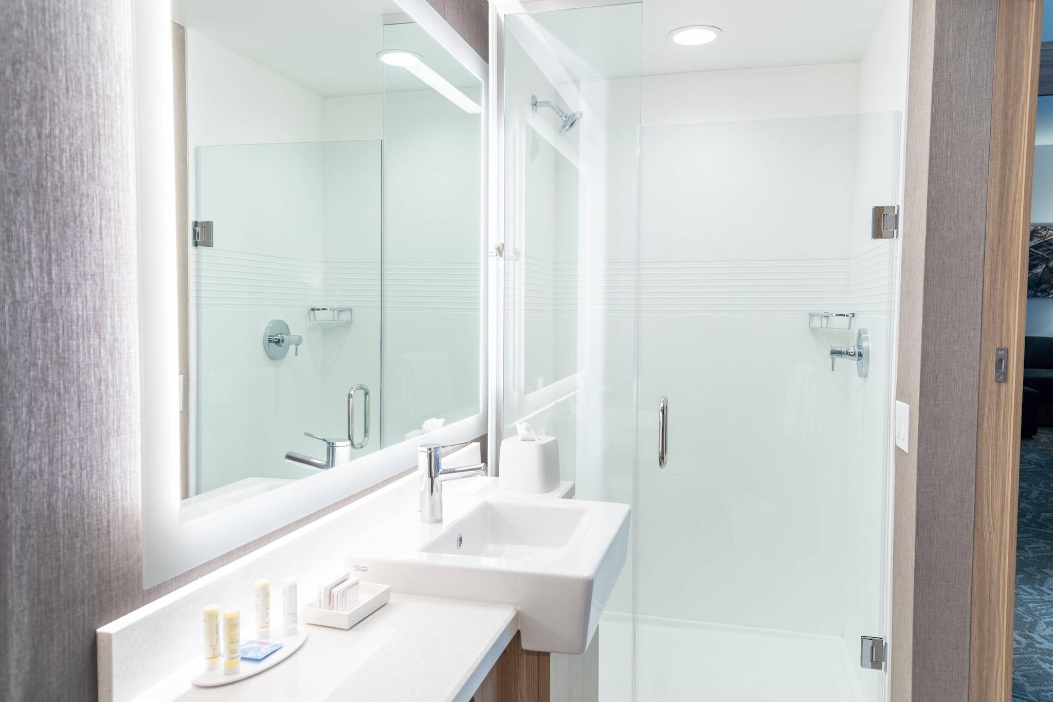جناح بسرير كوين لذوي الإعاقة، SpringHill Suites by Marriott Overland Park Leawood 4/4