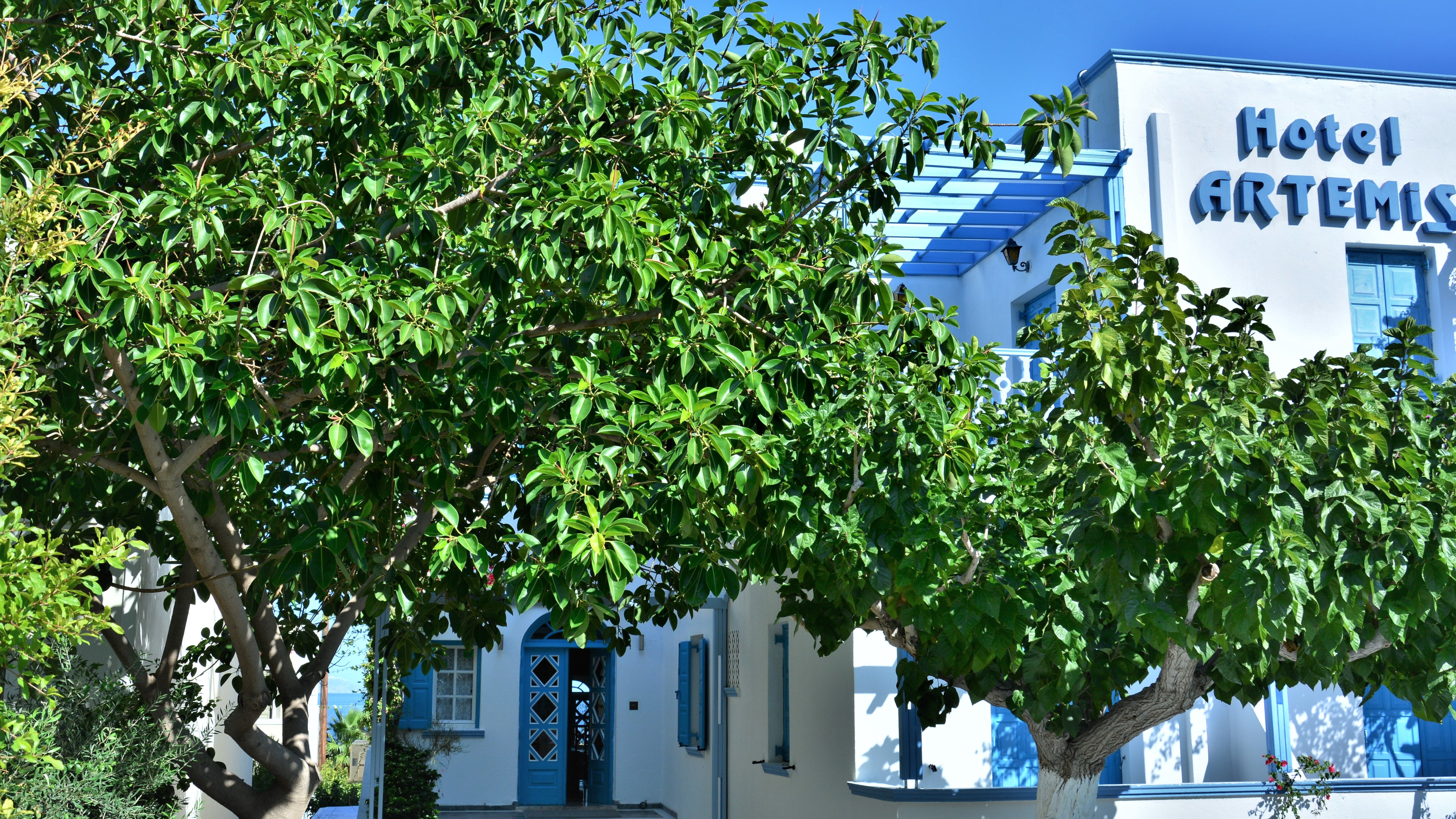 Artemis Santorini 12/19