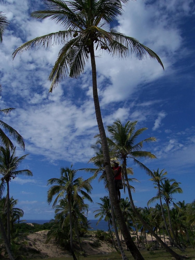 Blue Moon Beach Holiday Resort 15/32