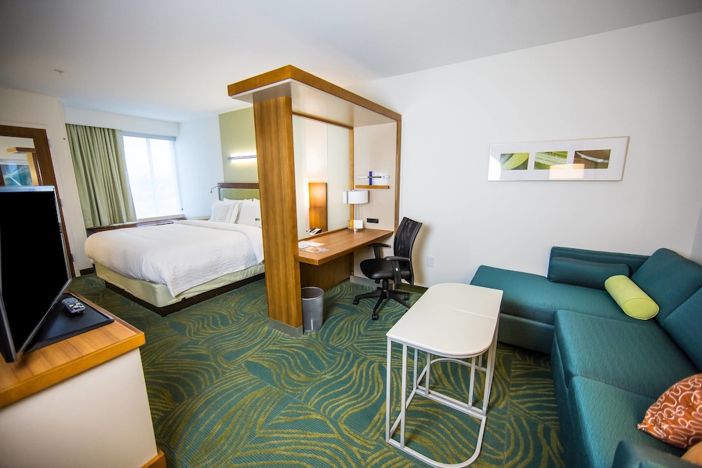 SpringHill Suites Lumberton 39/59
