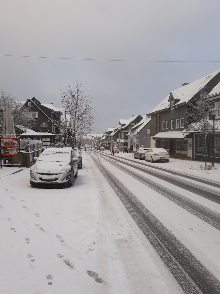 Die Zwei Löwen 42/50