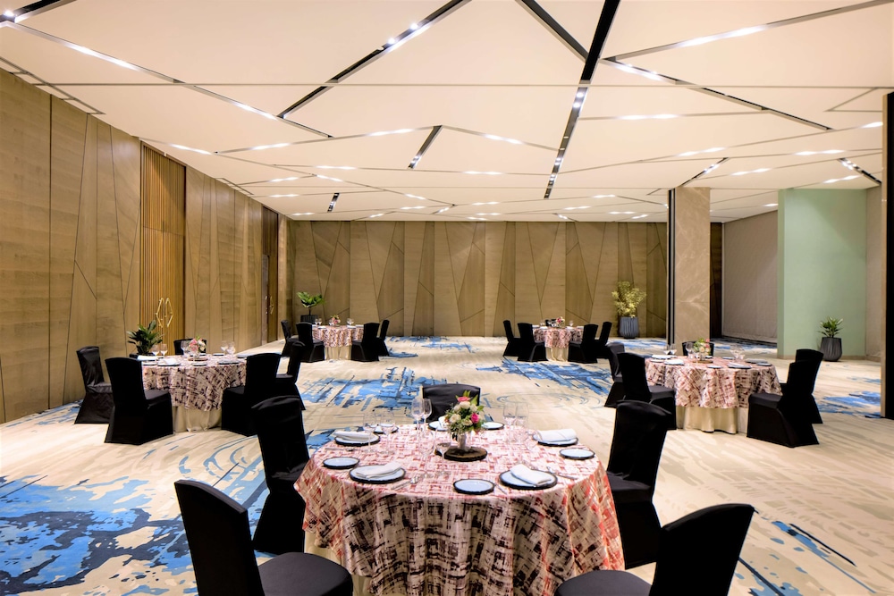 Radisson Blu Mumbai International Airport 55/64