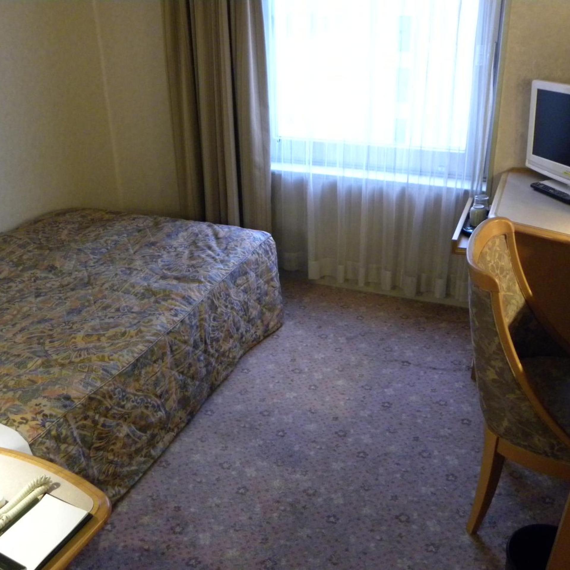 Hotel New Green Okachimachi 20/37