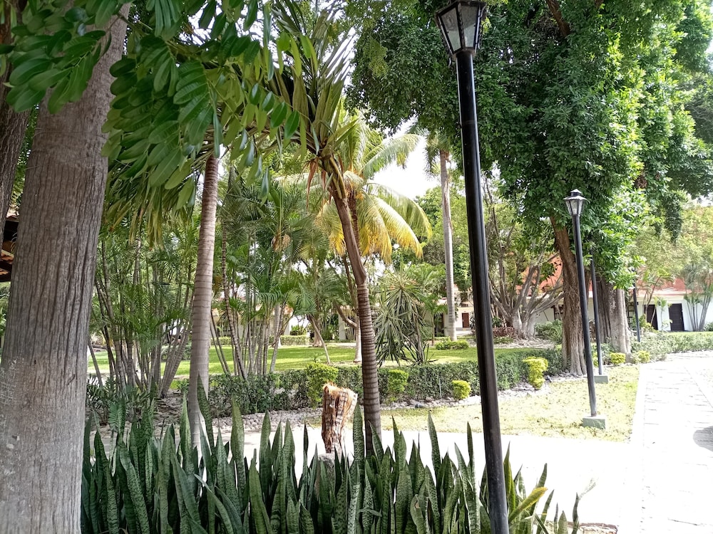 InHouse Select Hacienda Tres Rios 61/70