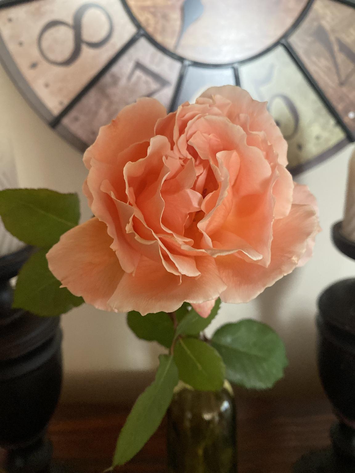 Highland Rose Country House & Serenity Spa 12/42