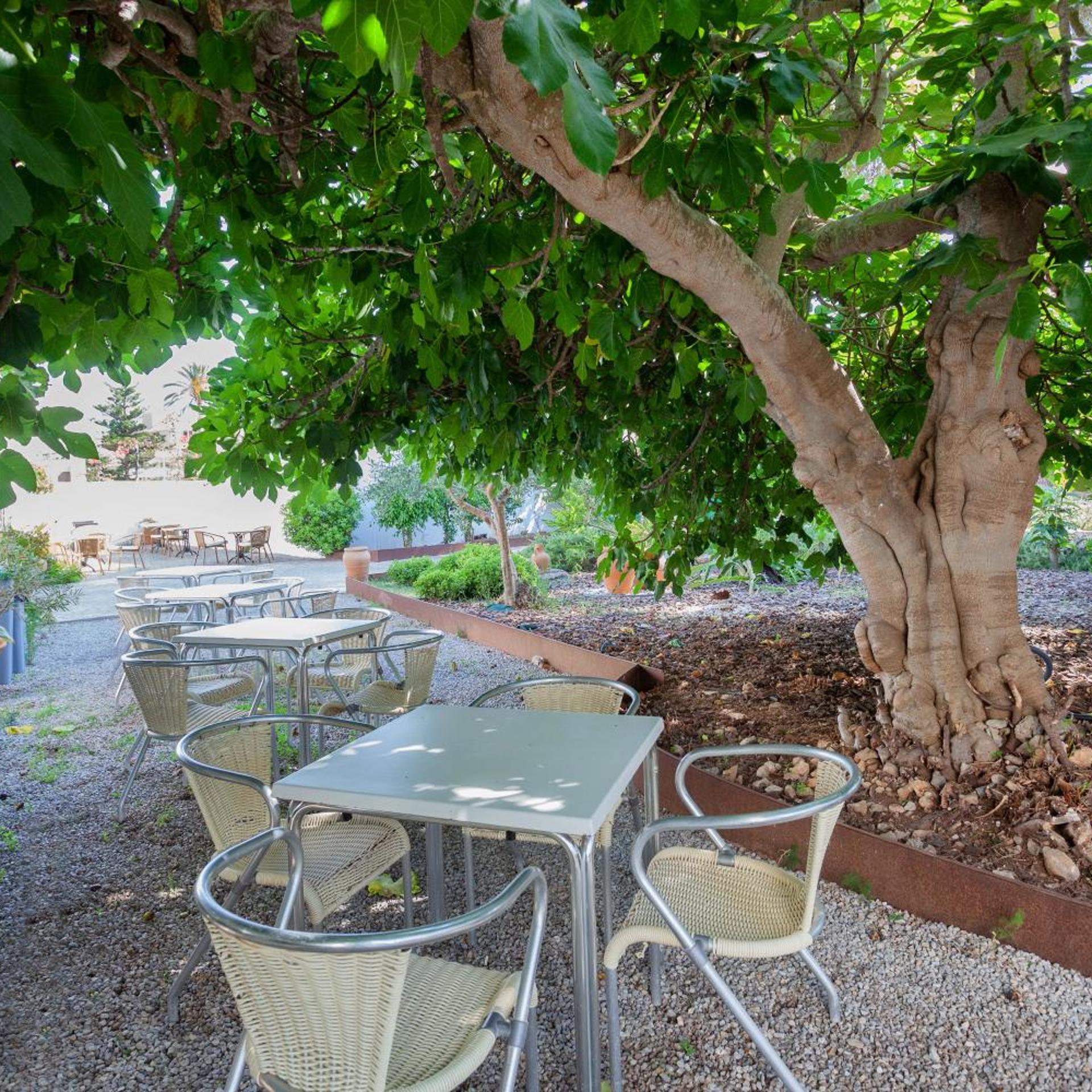 Petit Garden Hotel by Flacalco 43/50