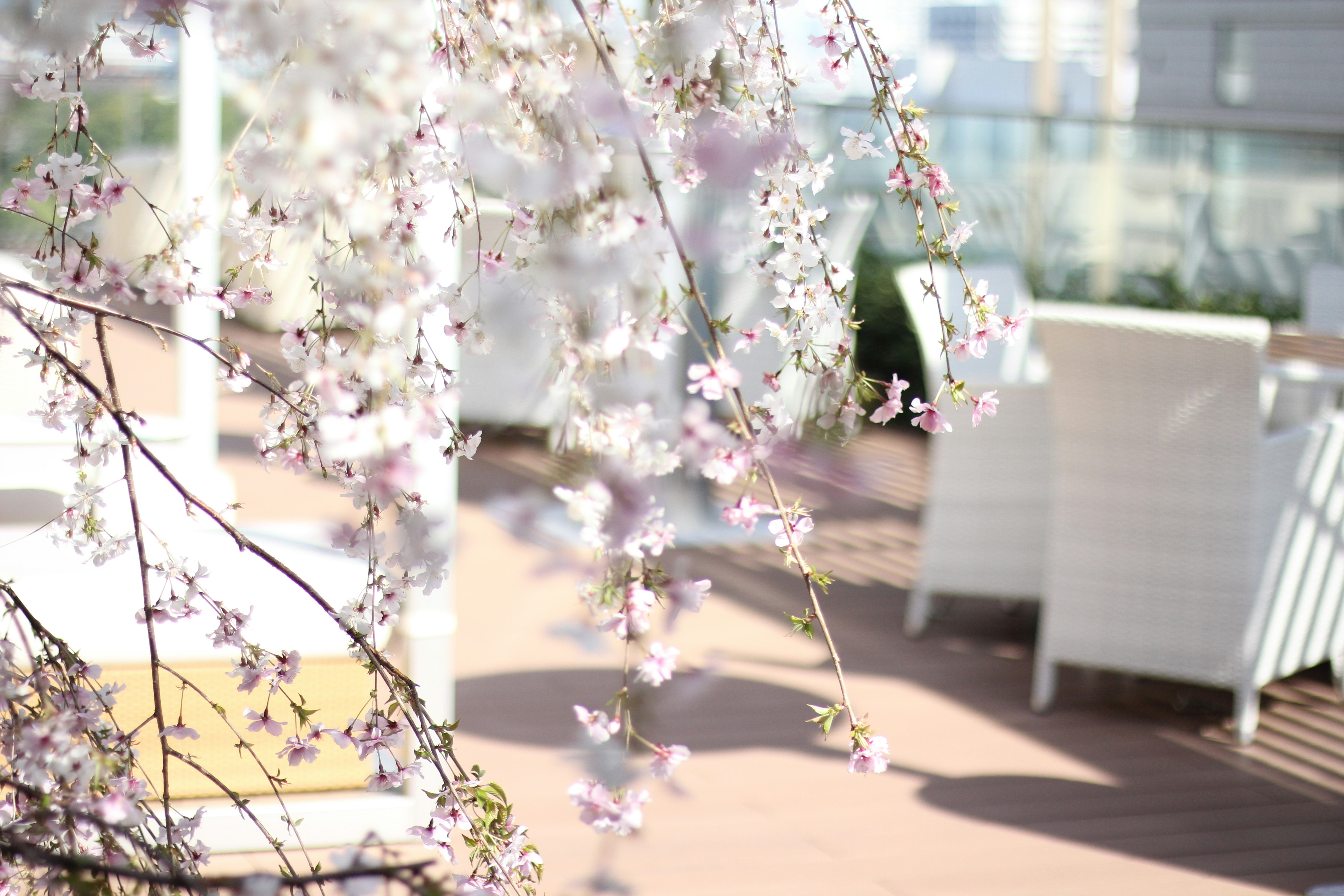 The Kitano Hotel Tokyo 5/52