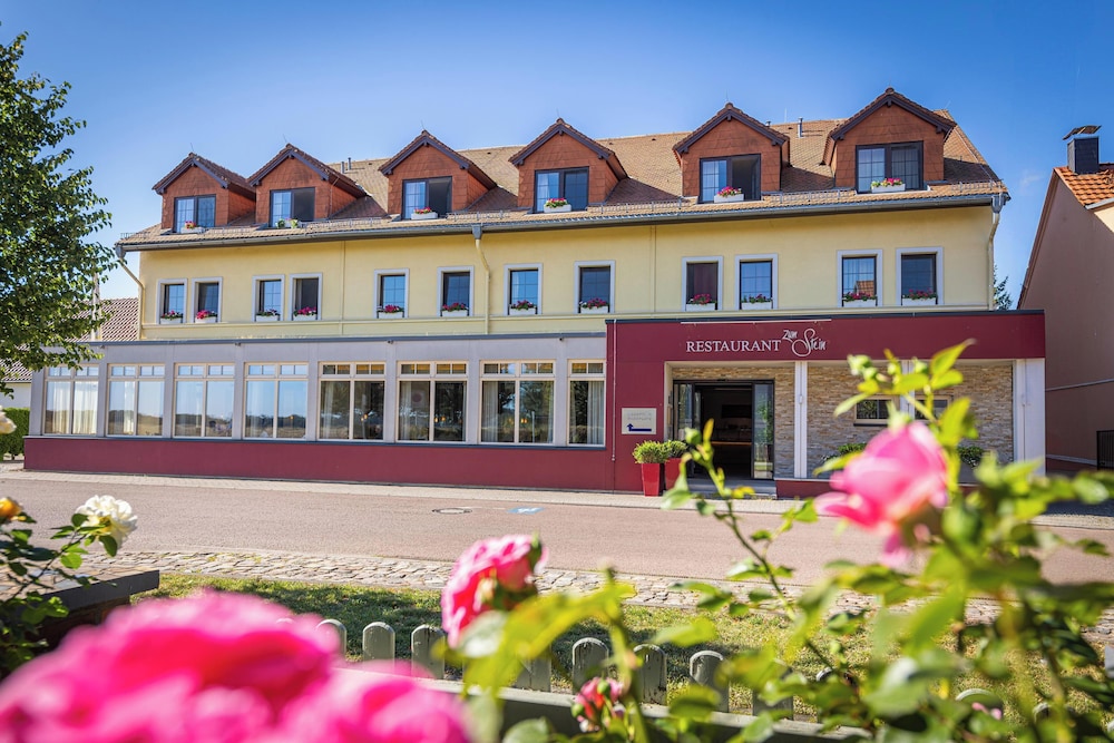 Ringhotel Zum Stein Worlitz 1/50