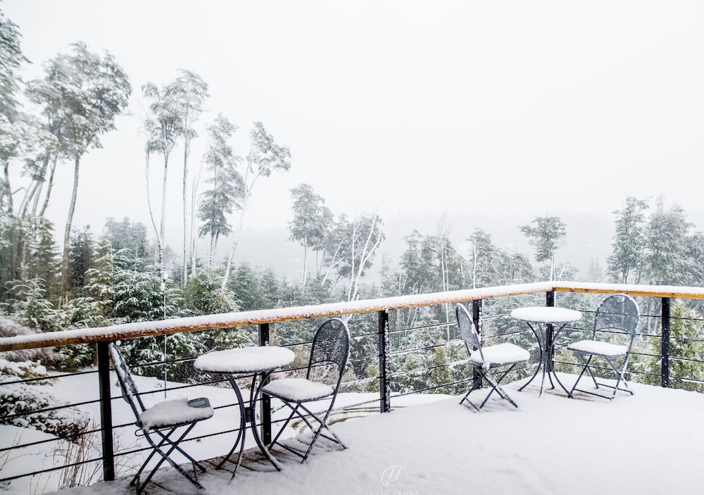 El Bosque by DOT Tradition 57/64