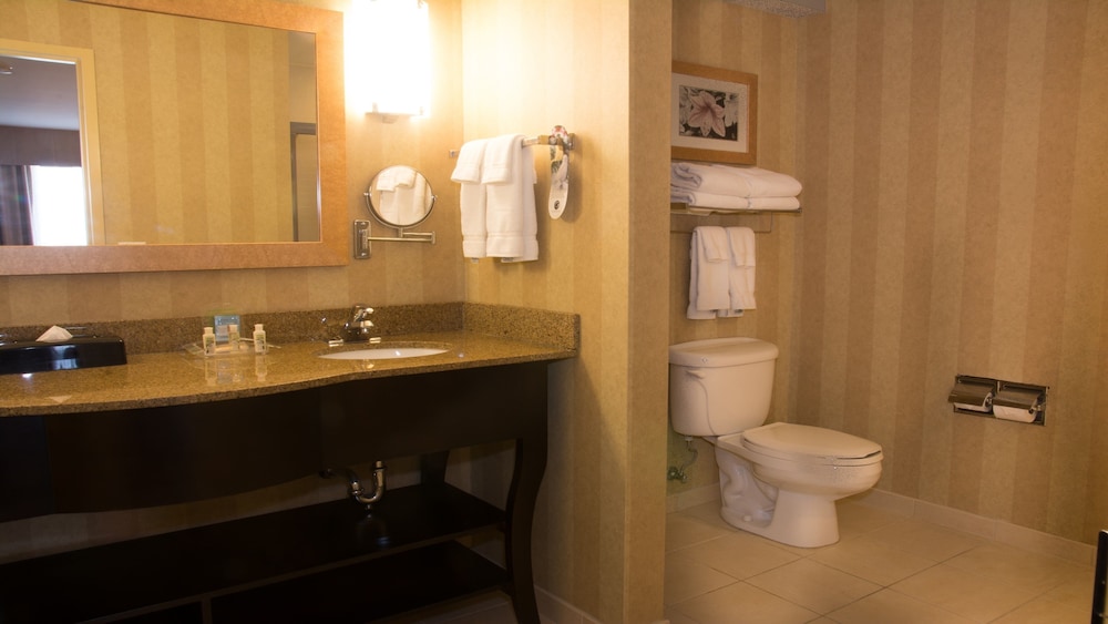 Holiday Inn St. Louis Fairview Heights 19/72